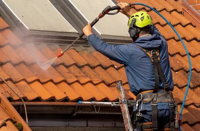 Démoussage et hydrofuge de toiture au Vignau